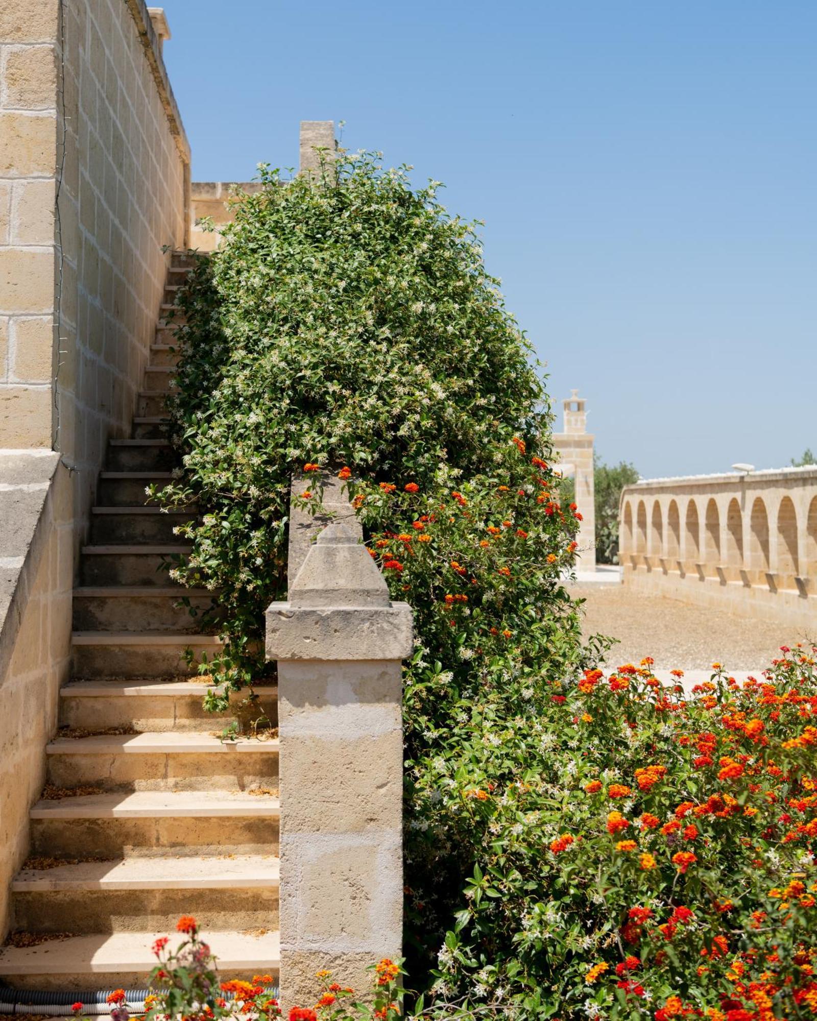 Masseria Agrituristica Lama San Giorgio Rutigliano Exterior photo